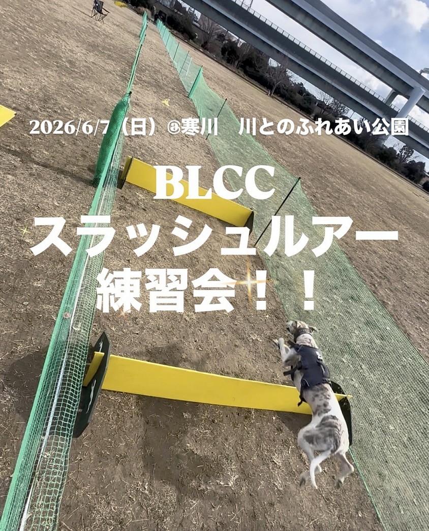 スラッシュルアー