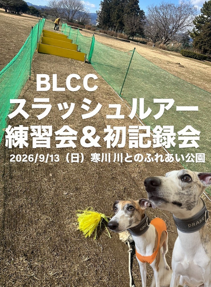 スラッシュルアー