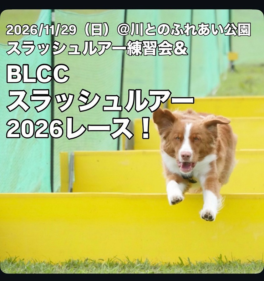 スラッシュルアー